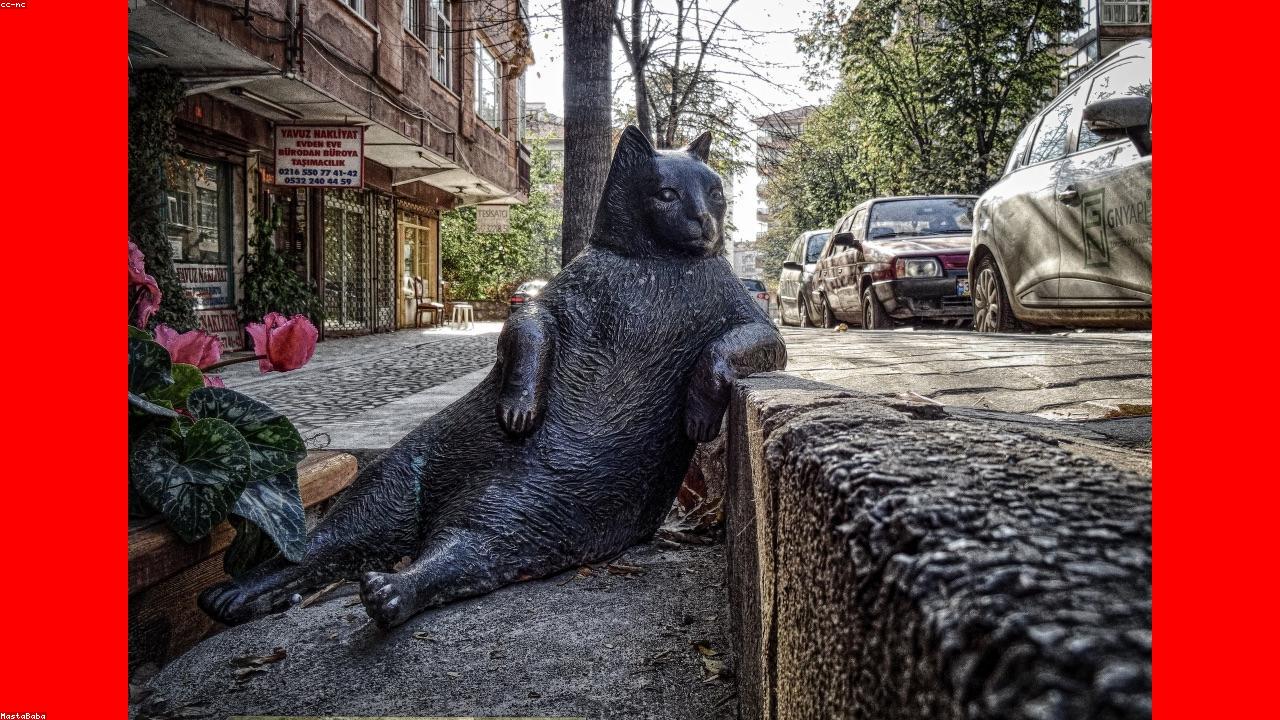 42 Advanced Tips to Improve Your Health Insurance